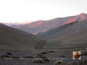 Ruta Los Loros, Chile 2015-36